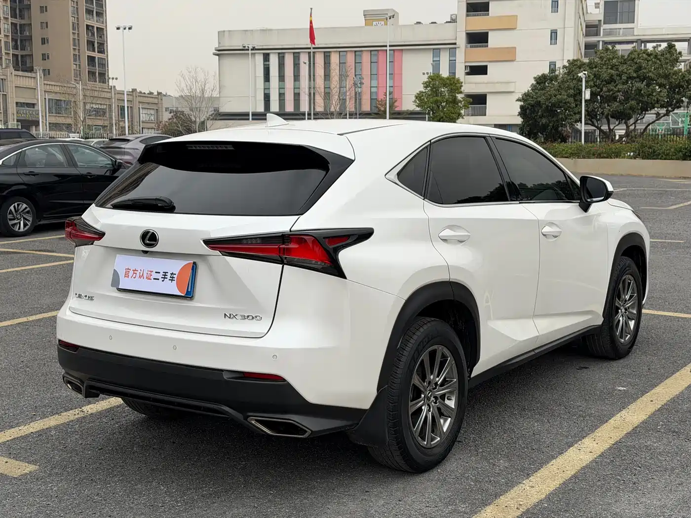 Lexus NX 2018 Model 300 FWD Fengxing Edition фото 8