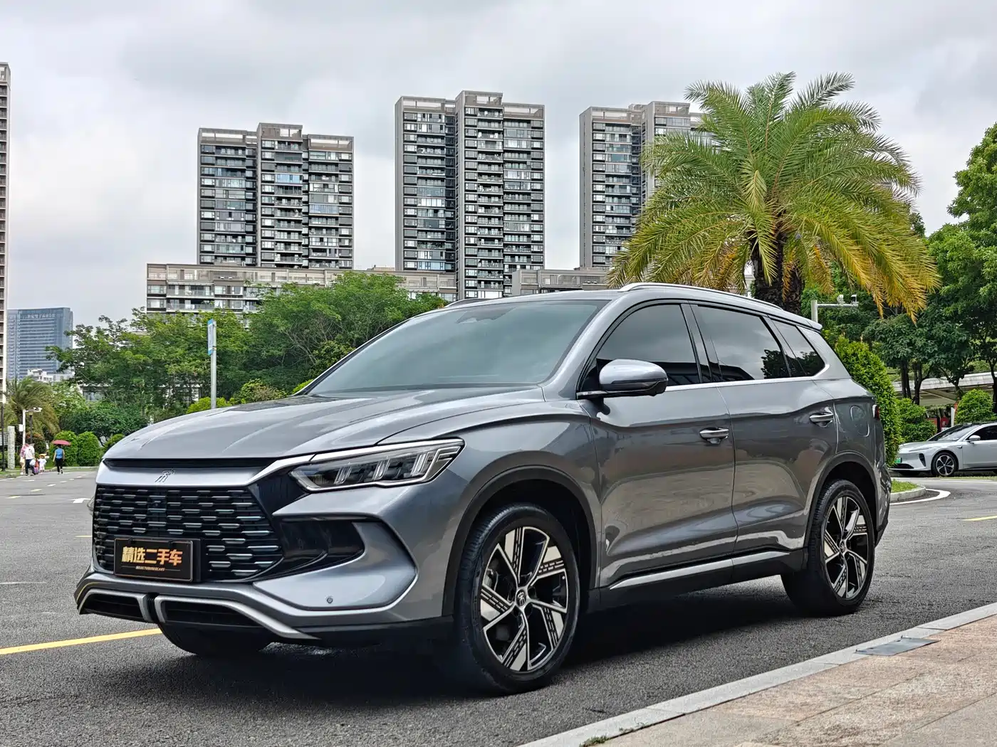 BYD Song Pro New Energy 2024 Glory Edition DM-i 110KM Excellence