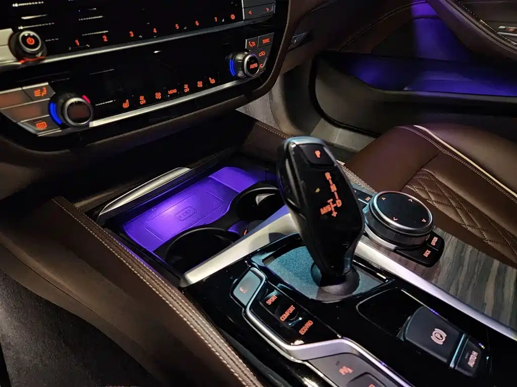 BMW 5 Series 2020 530Li Leading Luxury Package фото 20