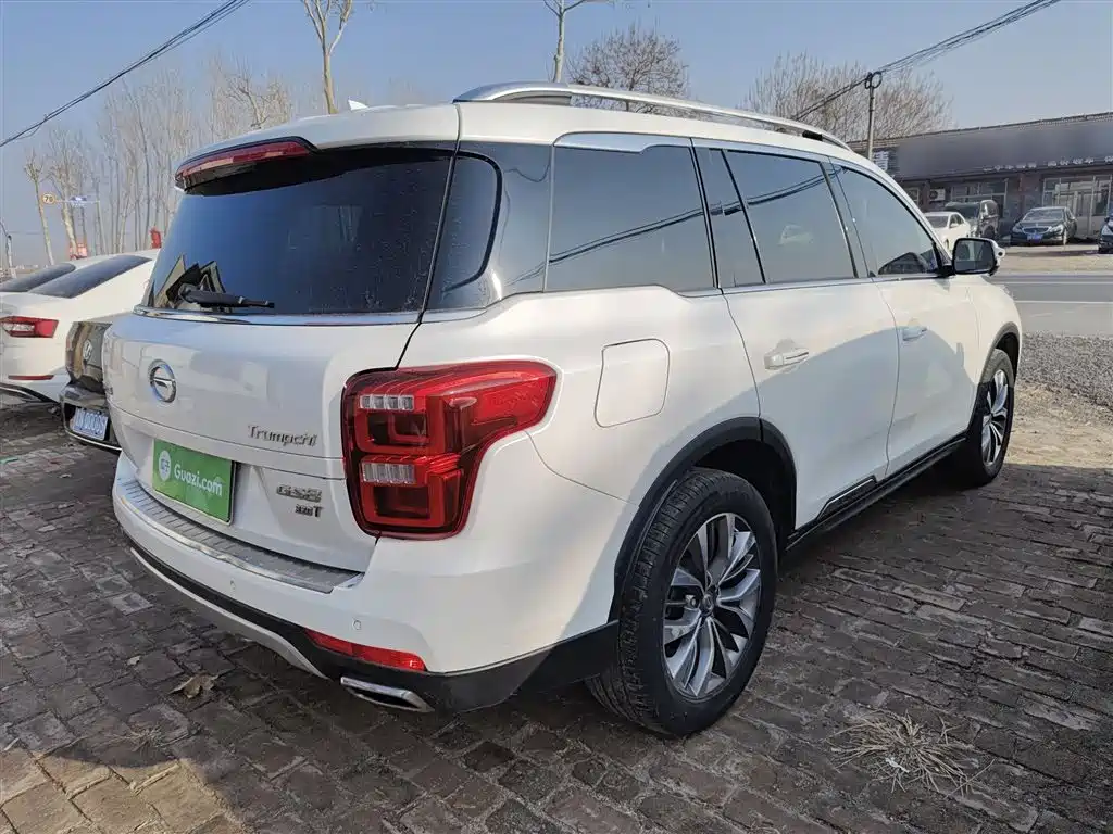 GAC Trumpchi Trumpchi GS8 2017 320T 2WD Luxury Smart Connect (7-seater) фото 7