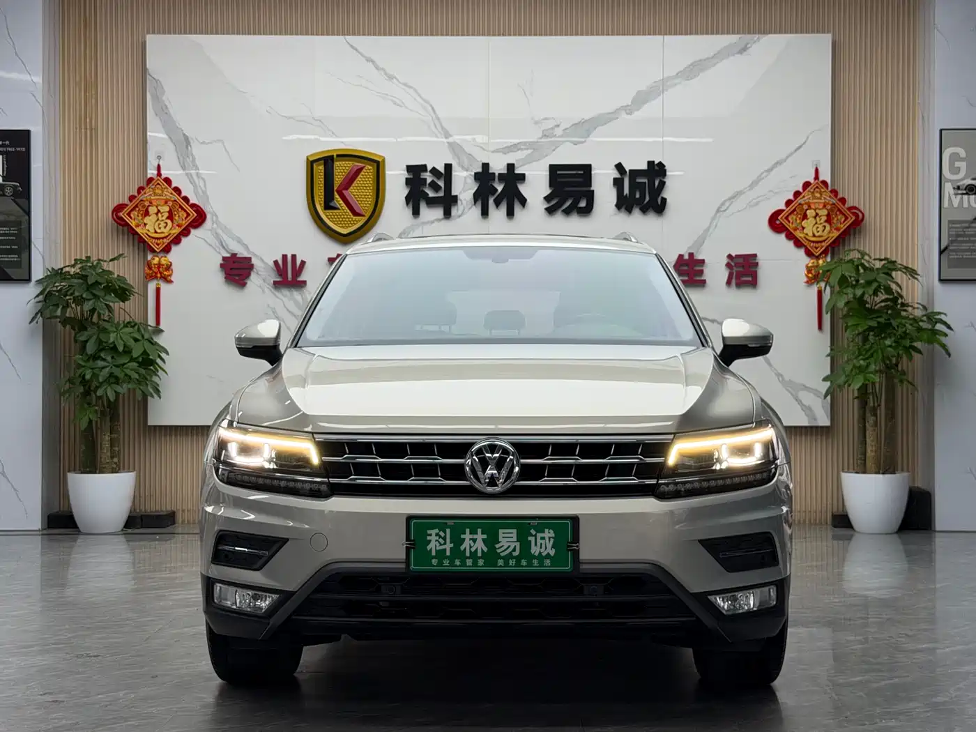 Volkswagen Tiguan L 2018 330TSI Automatic 2WD Flagship Edition фото 2