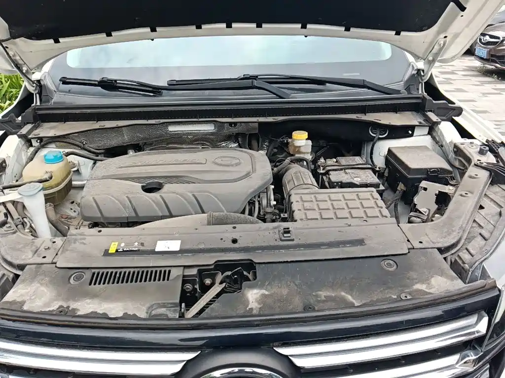 GAC Trumpchi GS4 2022 2022 270T Auto Pilot Edition