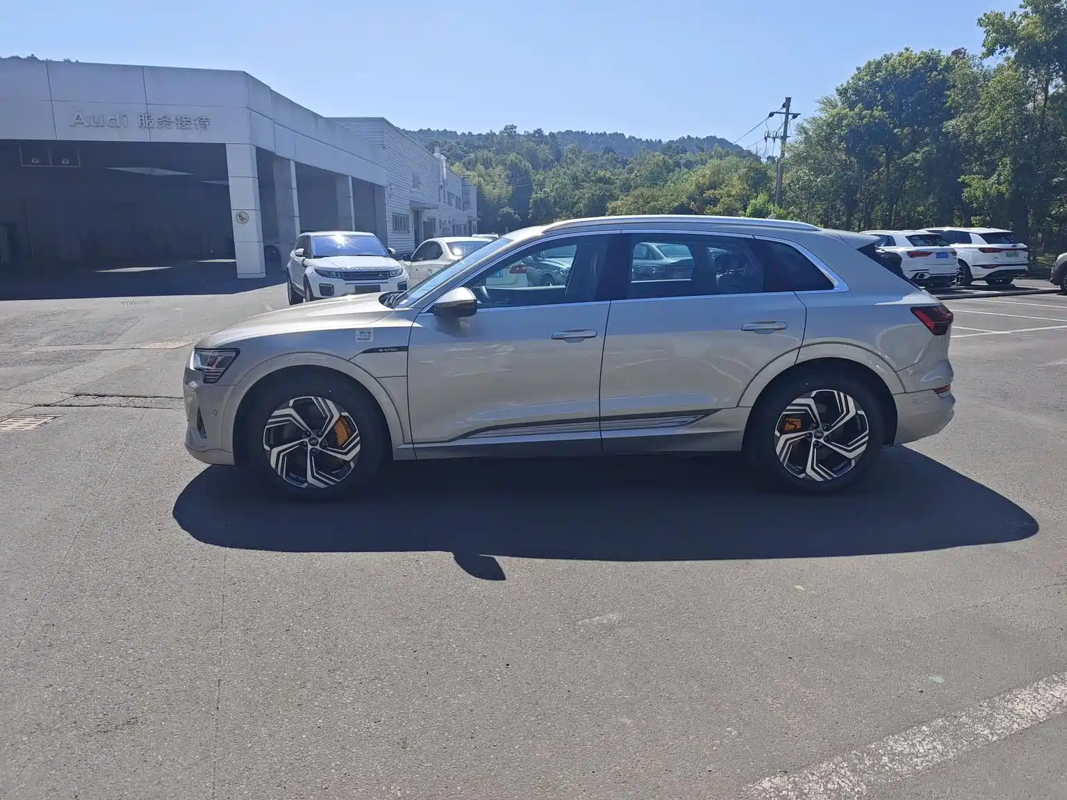 Фото 7 - Audi e-tron
