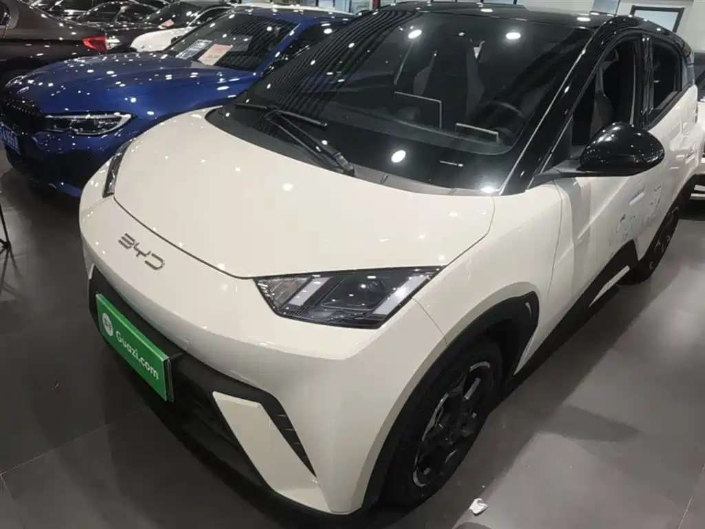 BYD Seagull 2024 Glory Edition 305km Freedom Edition