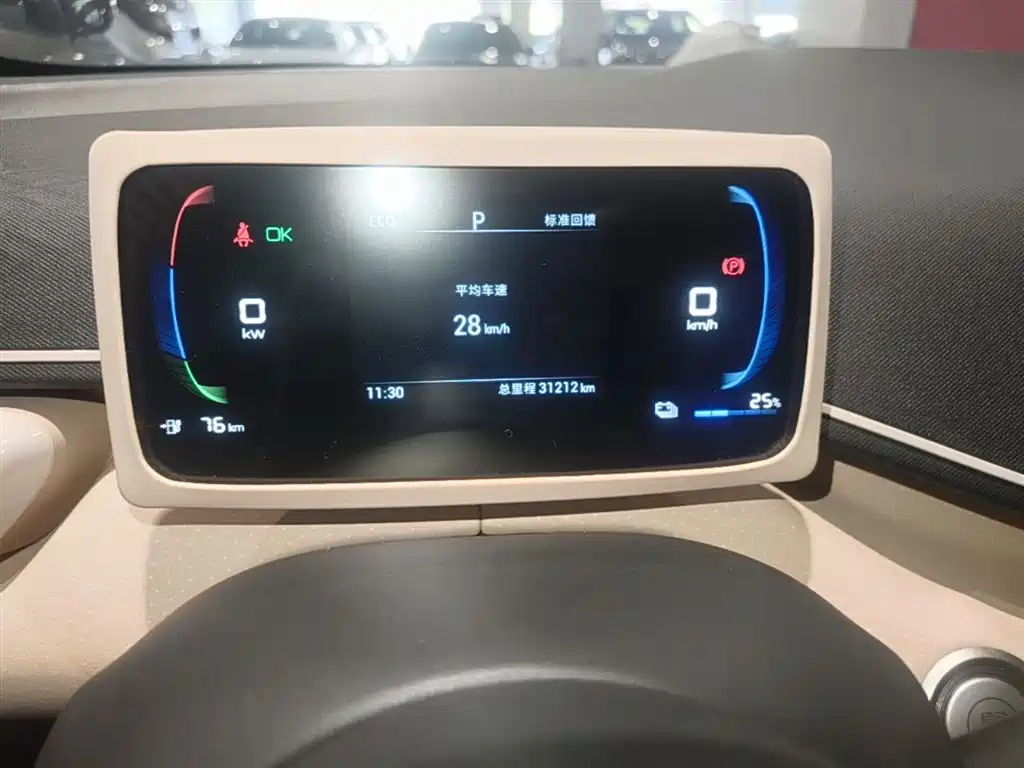 BYD Seagull 2024 Glory Edition 305km Freedom Edition фото 12
