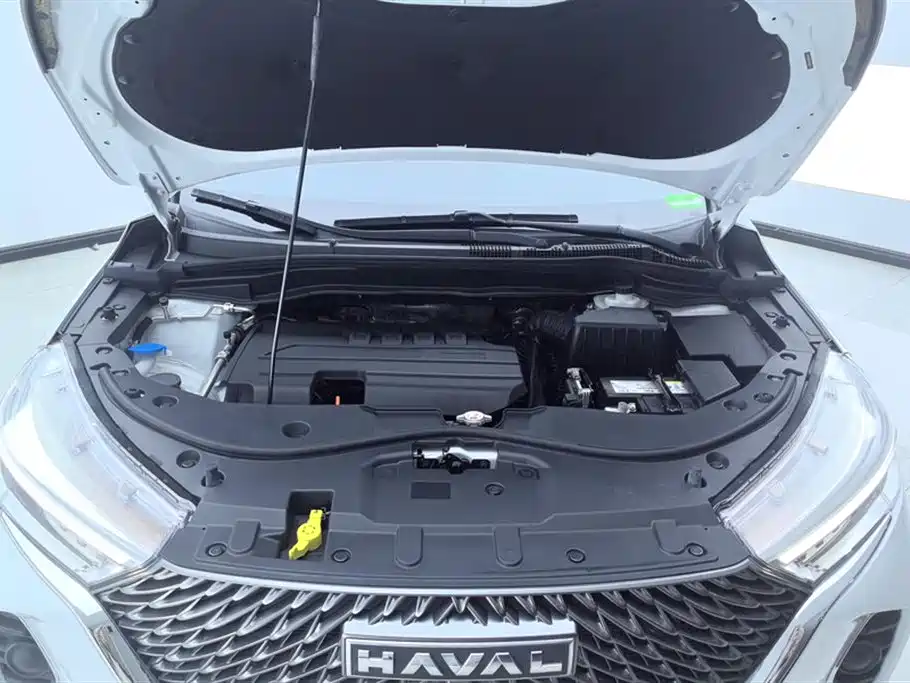 Haval M6 2023 PLUS 1.5T DCT Elite Smart Connect фото 10