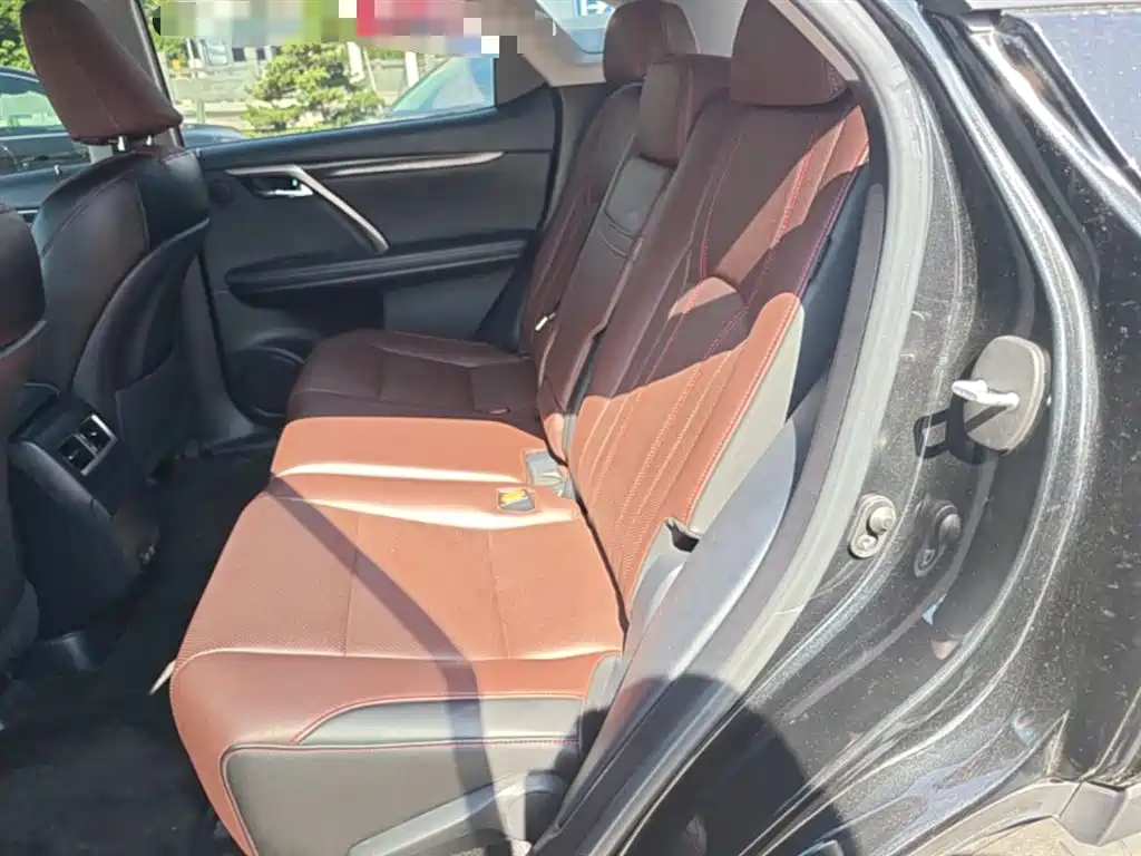 Lexus RX 2020 300 2WD Elite Edition China VI фото 17