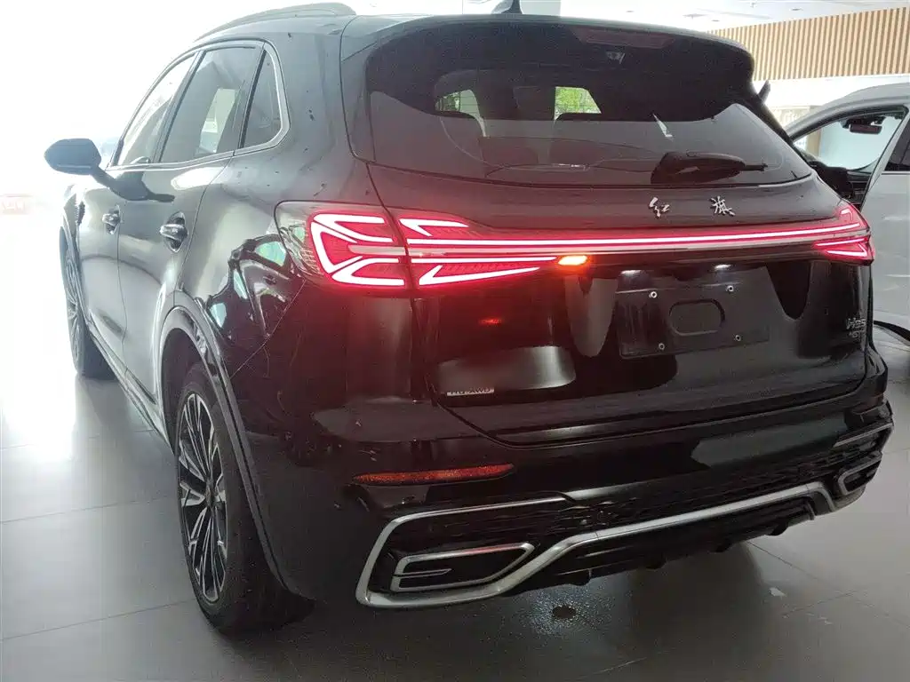 Hongqi HS5 2023 2.0T 4WD Flag Leader Pro фото 23