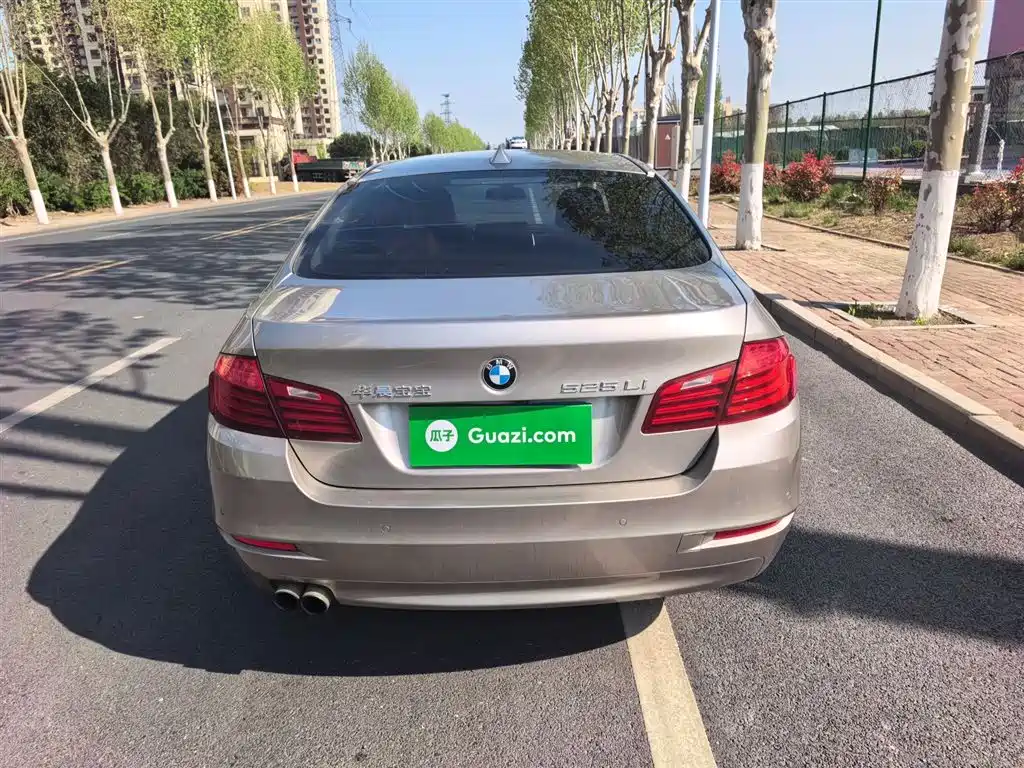 BMW 5 Series 2014 525Li Leading фото 24