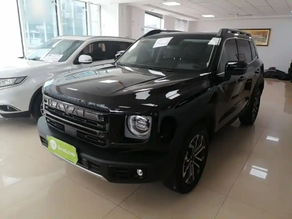 Haval Big Dog 2024 1.5T DCT Border Collie Edition