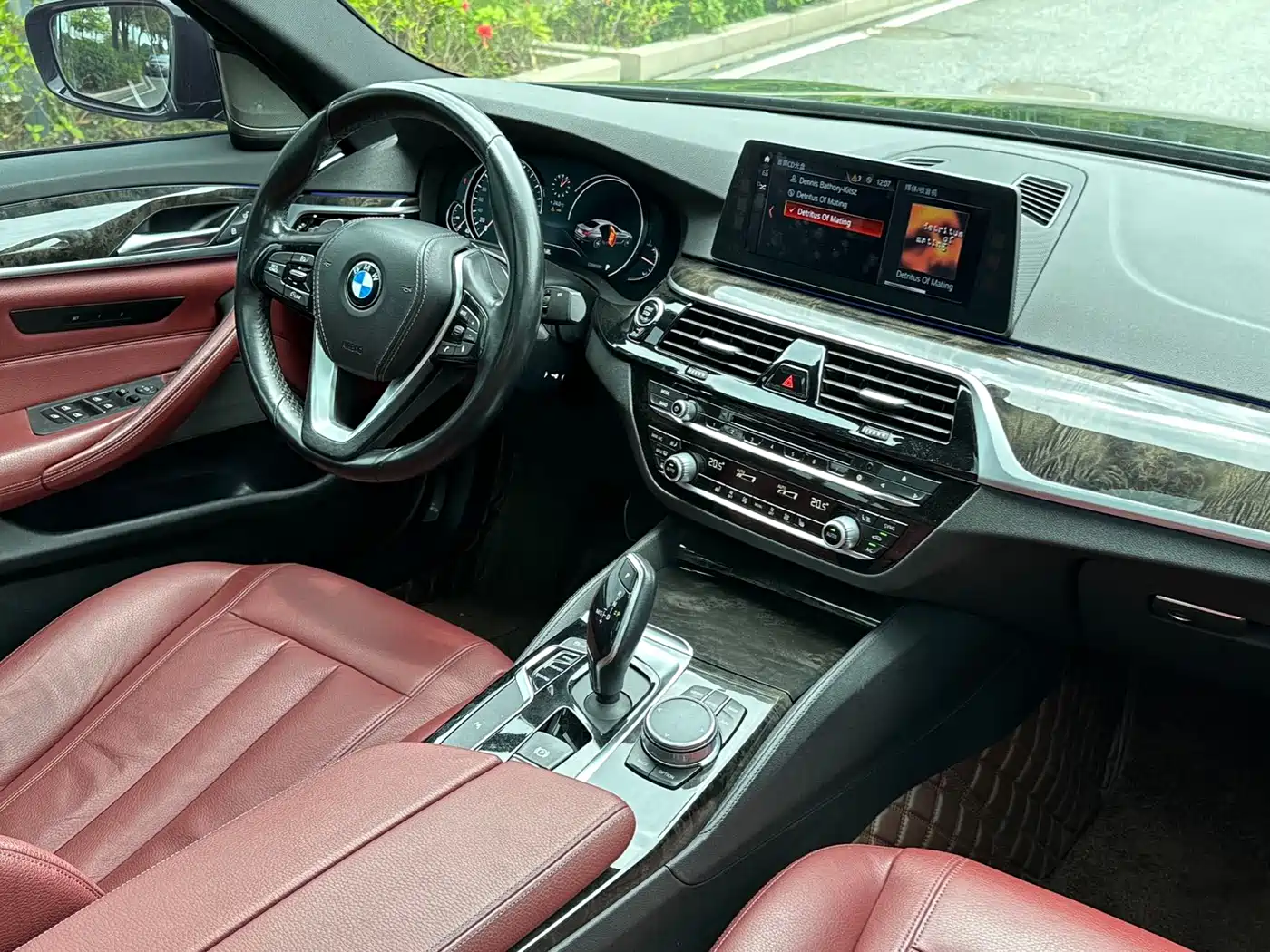 BMW 5 Series 2018 530Li Leading M Sport Package фото 5