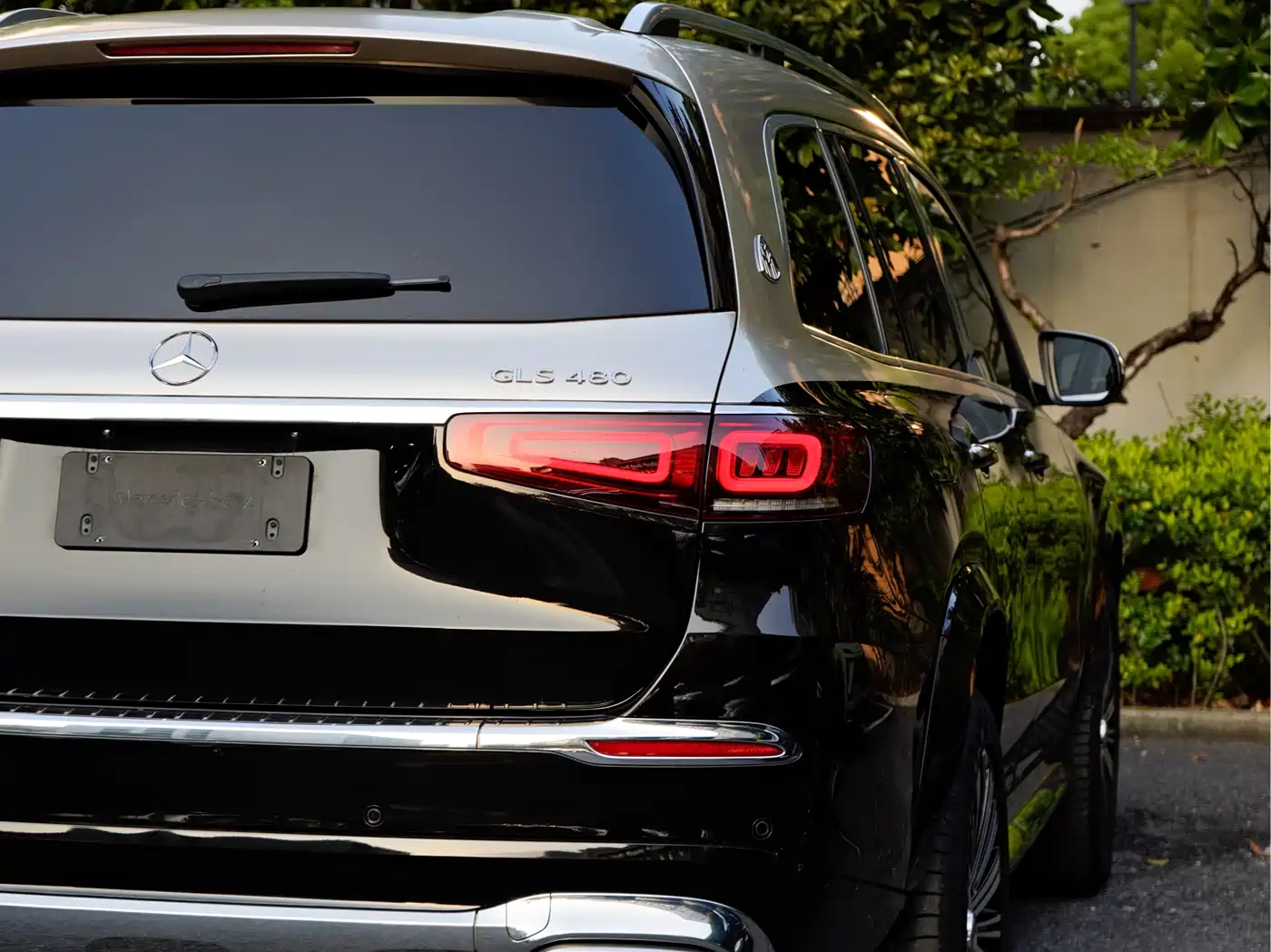 Mercedes-Benz Maybach GLS 2021 GLS 480 4MATIC фото 6