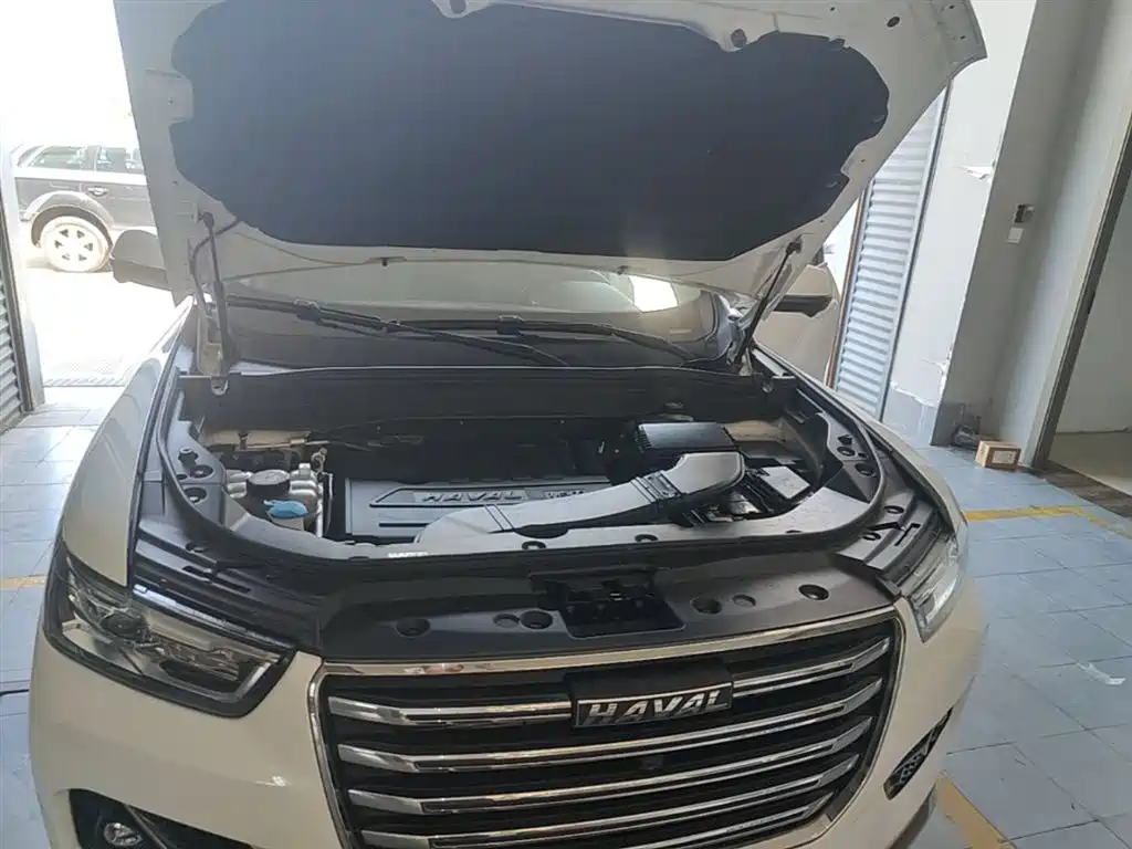 Haval H6 2021 Model 1.5T Automatic Champion Edition фото 20