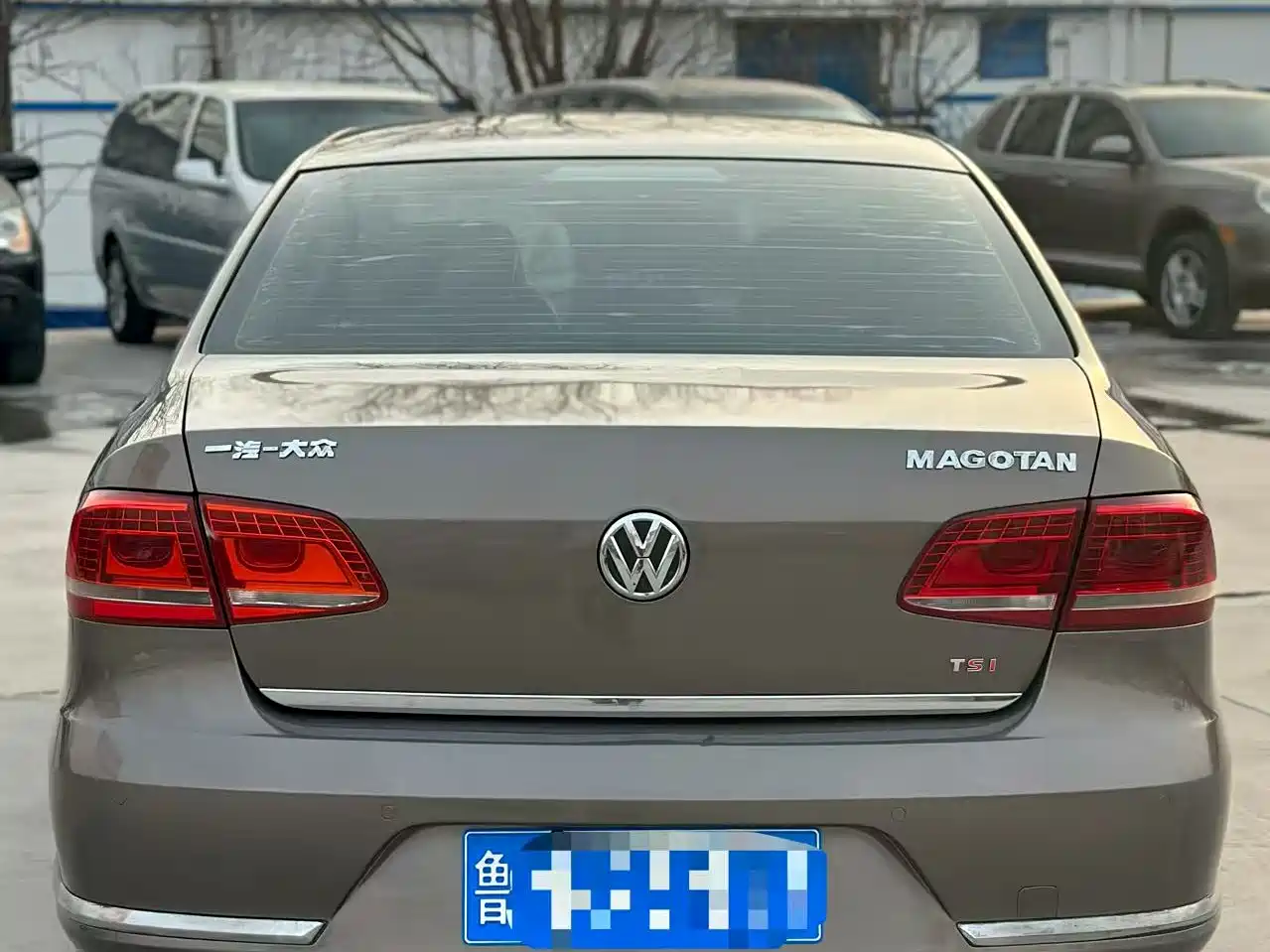 Volkswagen Magotan 2015 1.8TSI Luxury фото 4