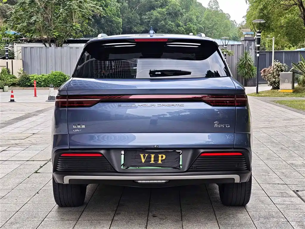 BYD Song Pro New Energy 2024 Glory Edition DM-i 110KM Excellence фото 15
