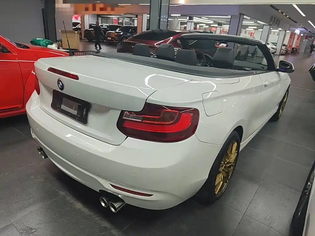 BMW 2 Series (Import) 2016 2015 220i Convertible Coupe Leading
