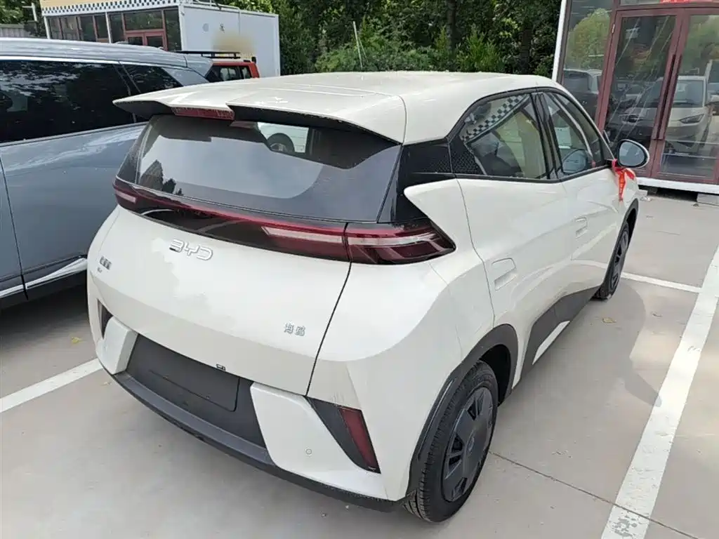 BYD Seagull 2025 Smart Drive Edition 305km Vitality Version фото 7