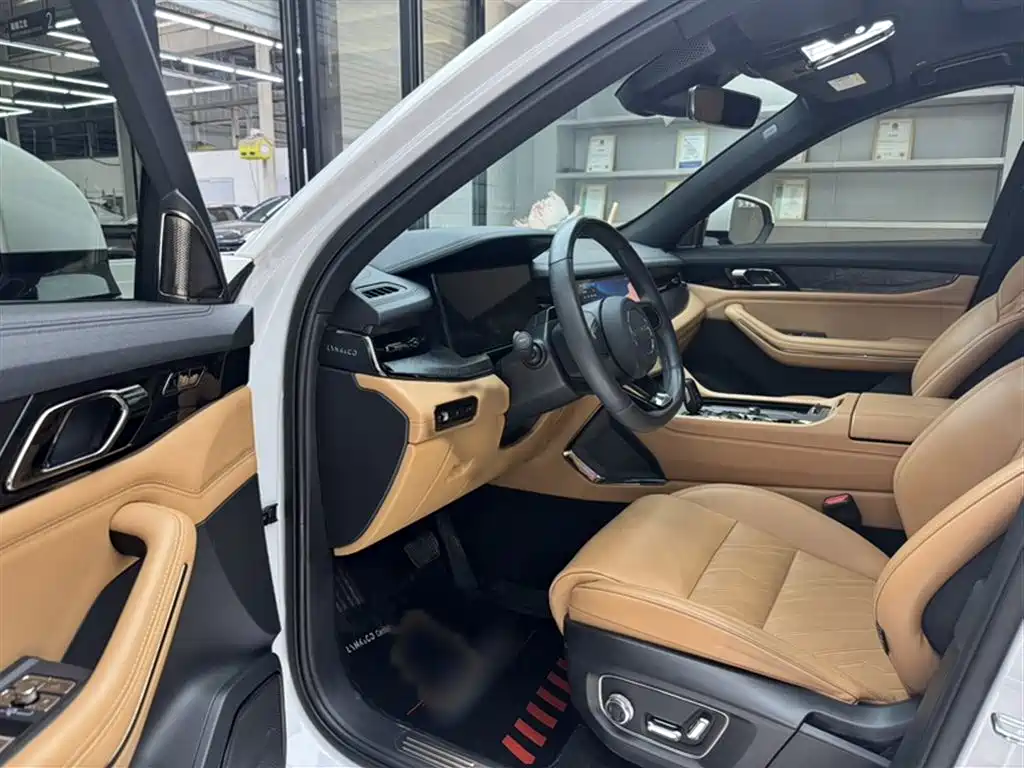 Lynk & Co 09 EM-P 2021 2.0T PHEV Ultra 6-seater фото 9