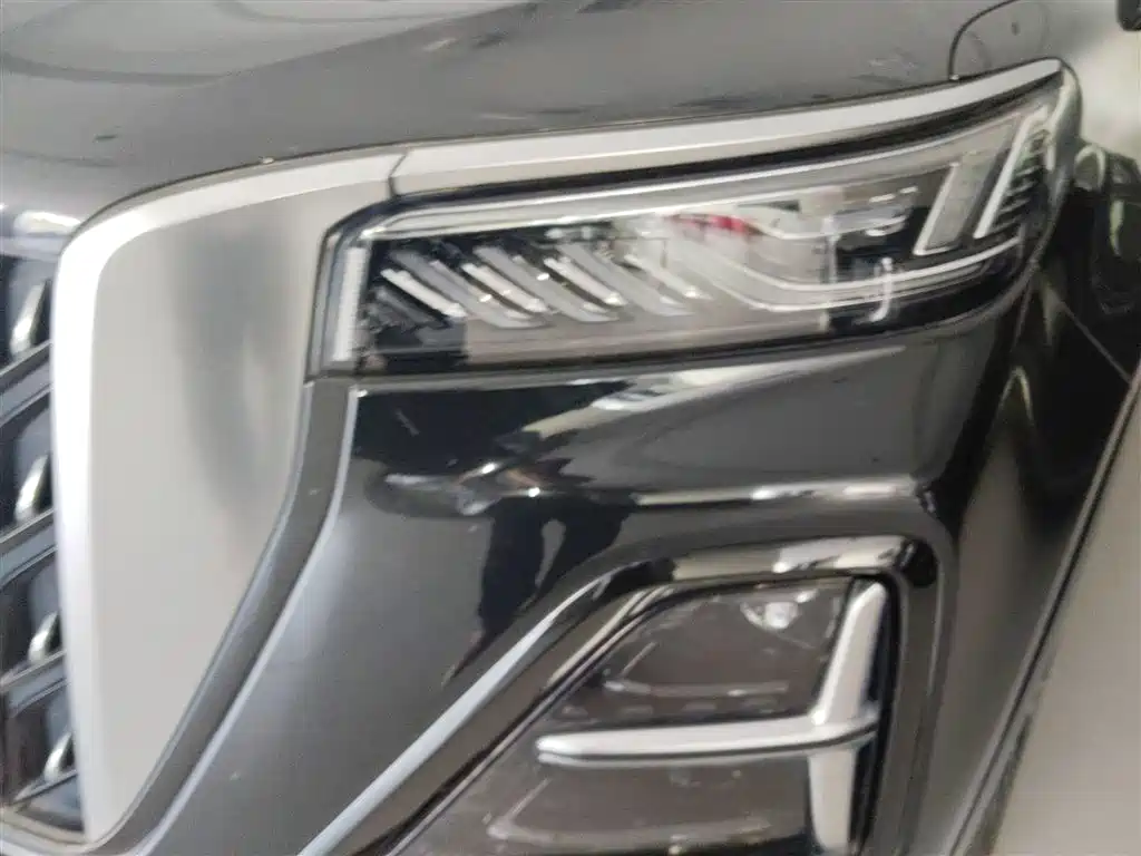 Hongqi HS5 2023 2.0T 4WD Flag Leader Pro фото 18