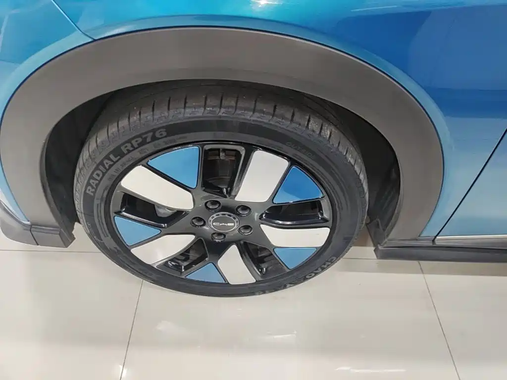 BYD Dolphin 2022 2021 401km Knight Edition