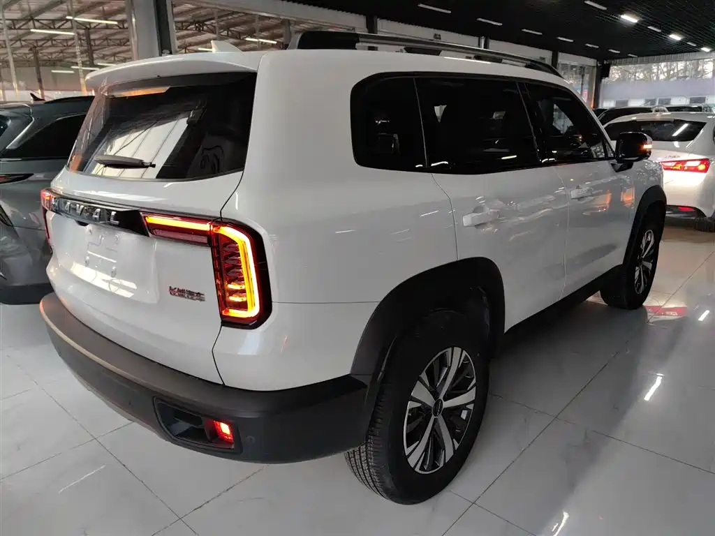 Haval Big Dog 2022 1.5T DCT FWD Labrador Edition фото 7