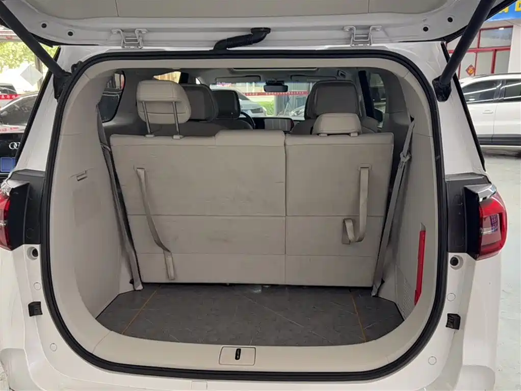 Buick GL8 2023 ES Landmaster Exclusive Harmony Edition фото 15