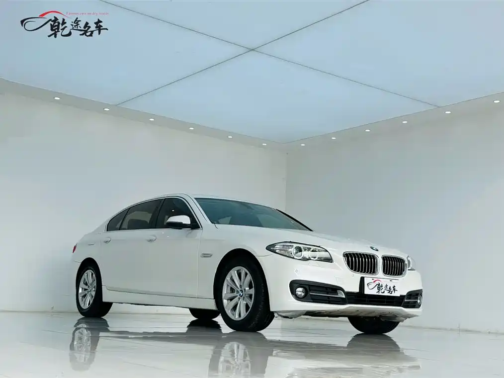 BMW 5 Series 2014 520Li Elegance фото 3
