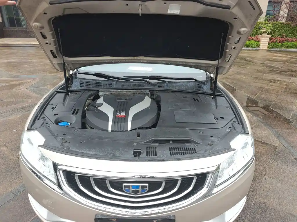 Фото 20 - Geely Borui