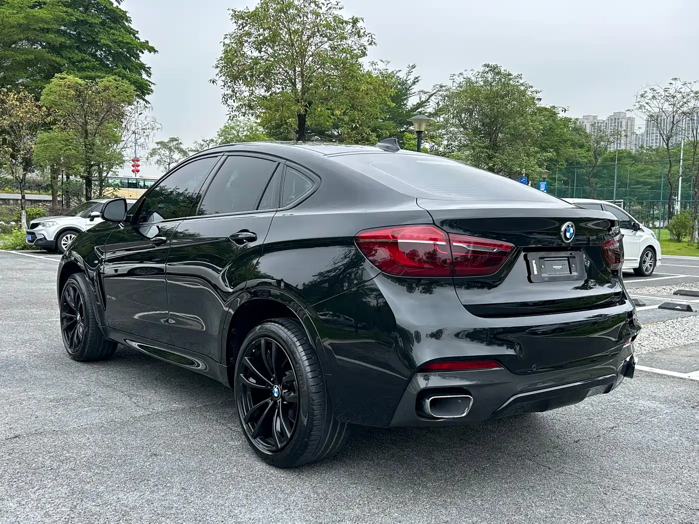 BMW X6 2019 xDrive35i M Sport Package фото 8