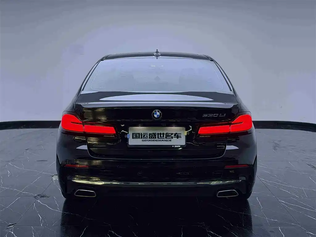 BMW 5 Series 2021 530Li Leading Luxury Package фото 5