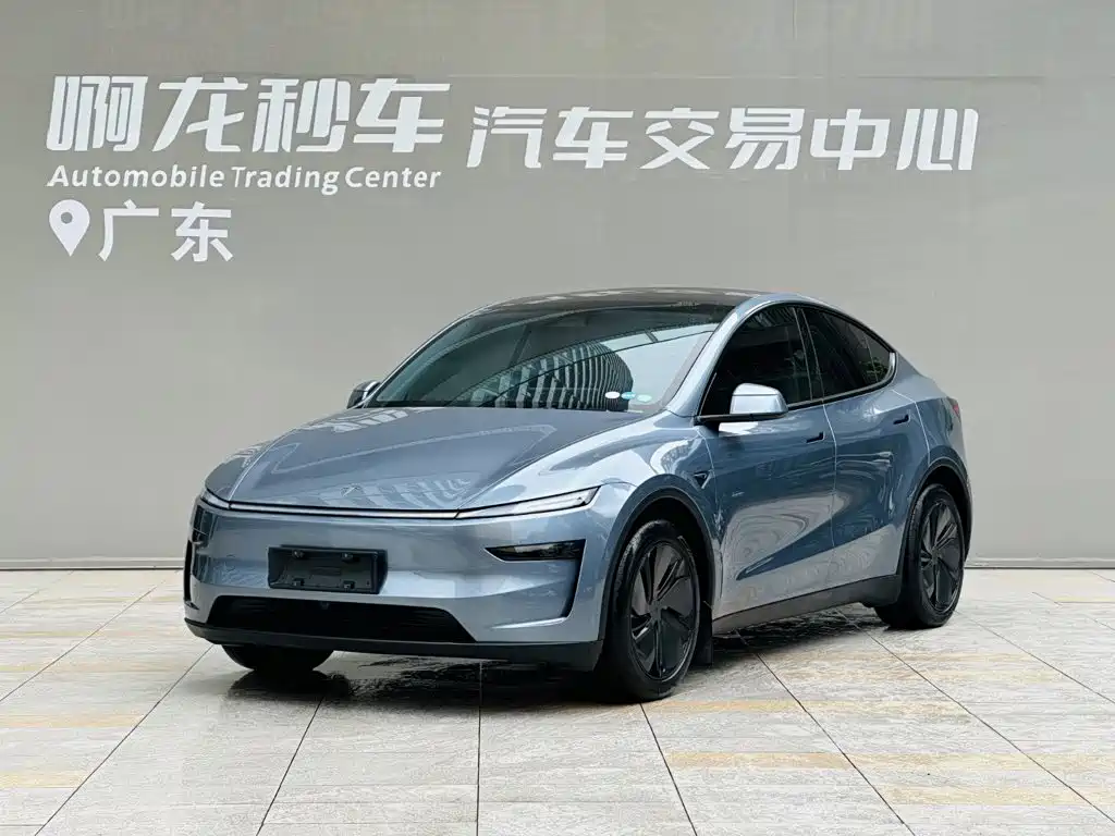 Tesla Model Y 2025 Rear-Wheel Drive