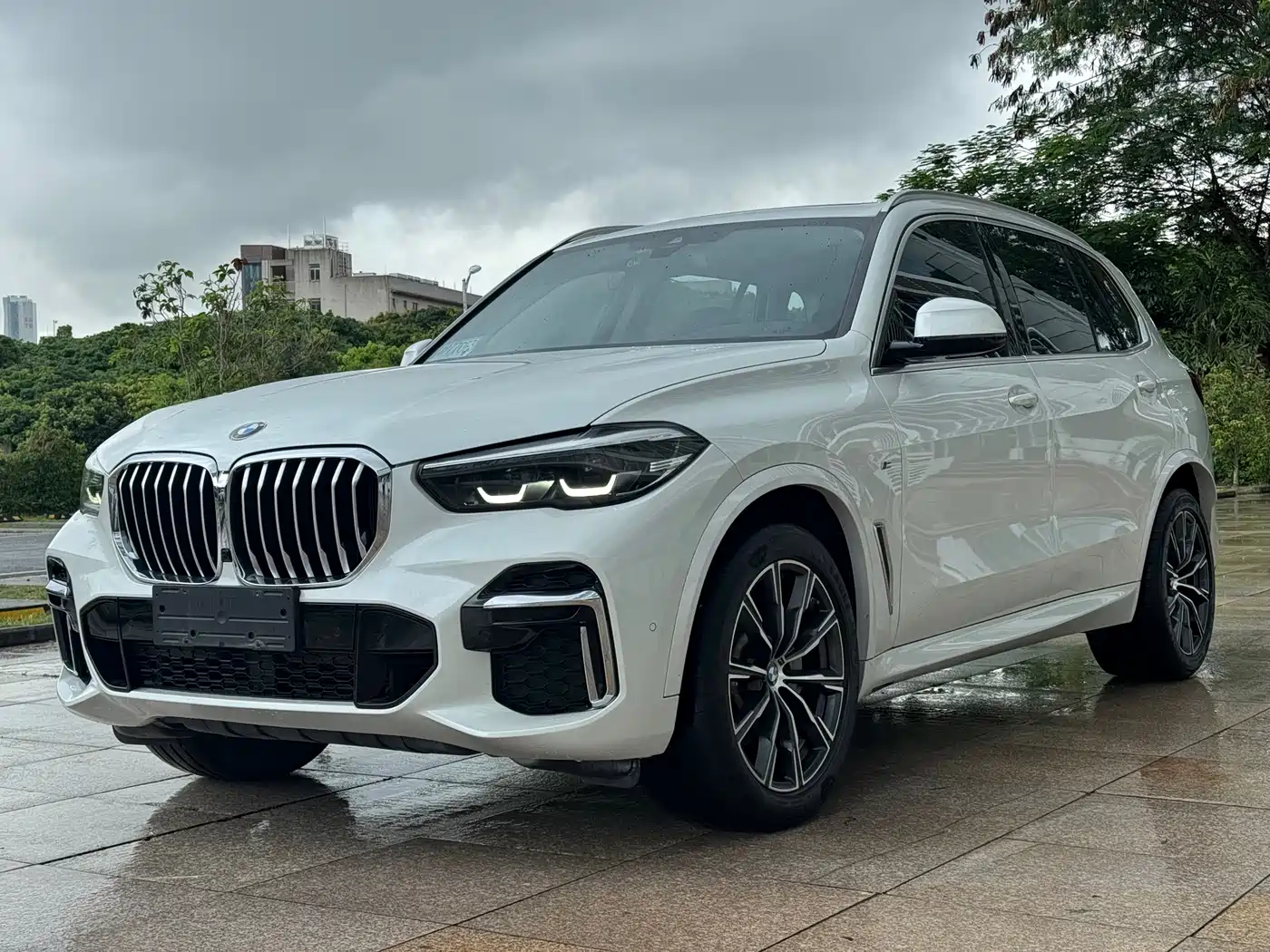 BMW X5 2022 xDrive 30Li Premium M Sport Package