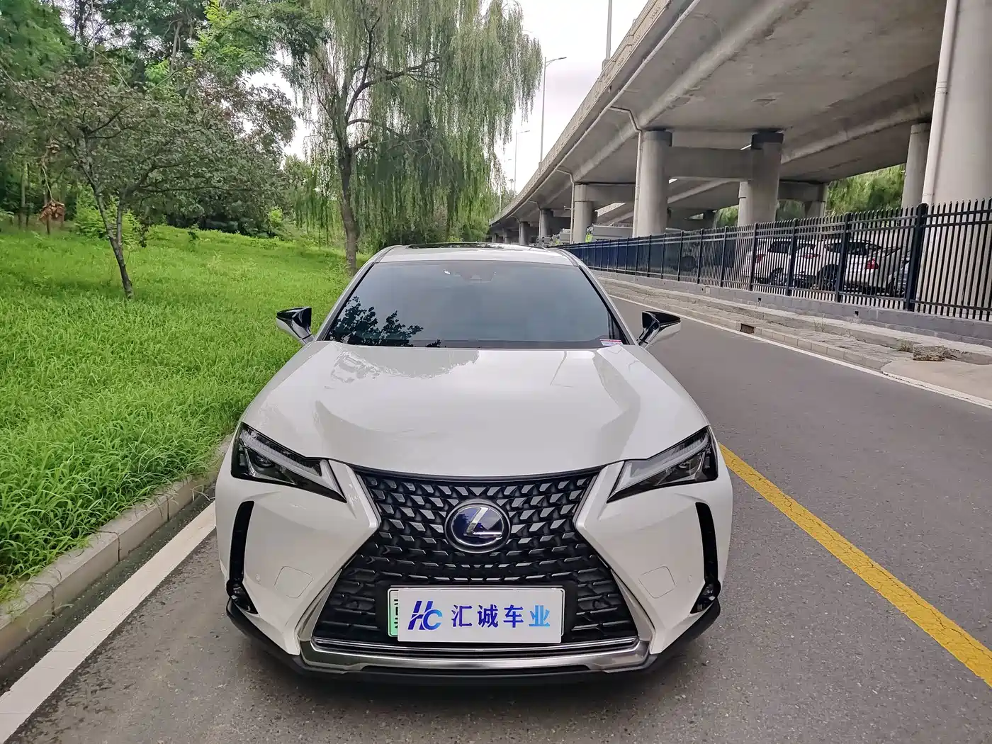 Lexus UX Electric 2023 2020 300e Pure Yue Edition