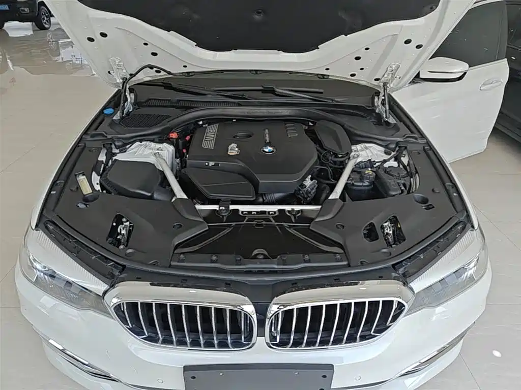 BMW 5 Series 2020 525Li Luxury Package фото 20