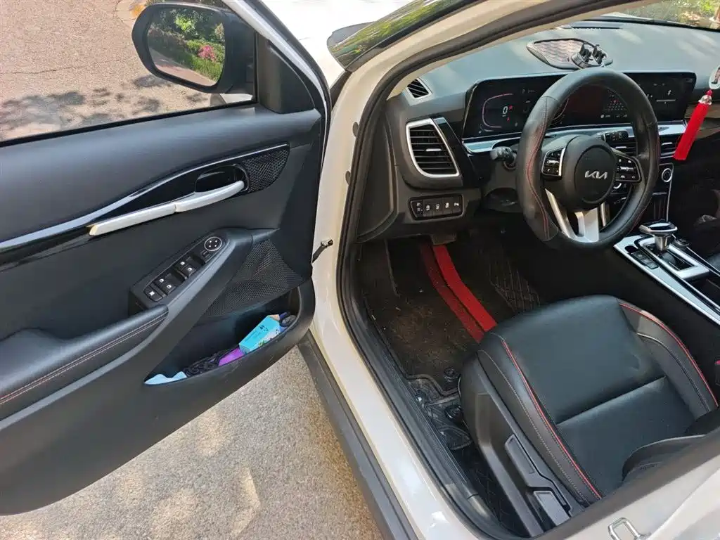 Kia Seltos 2023 1.5L CVT Luxury Edition фото 14