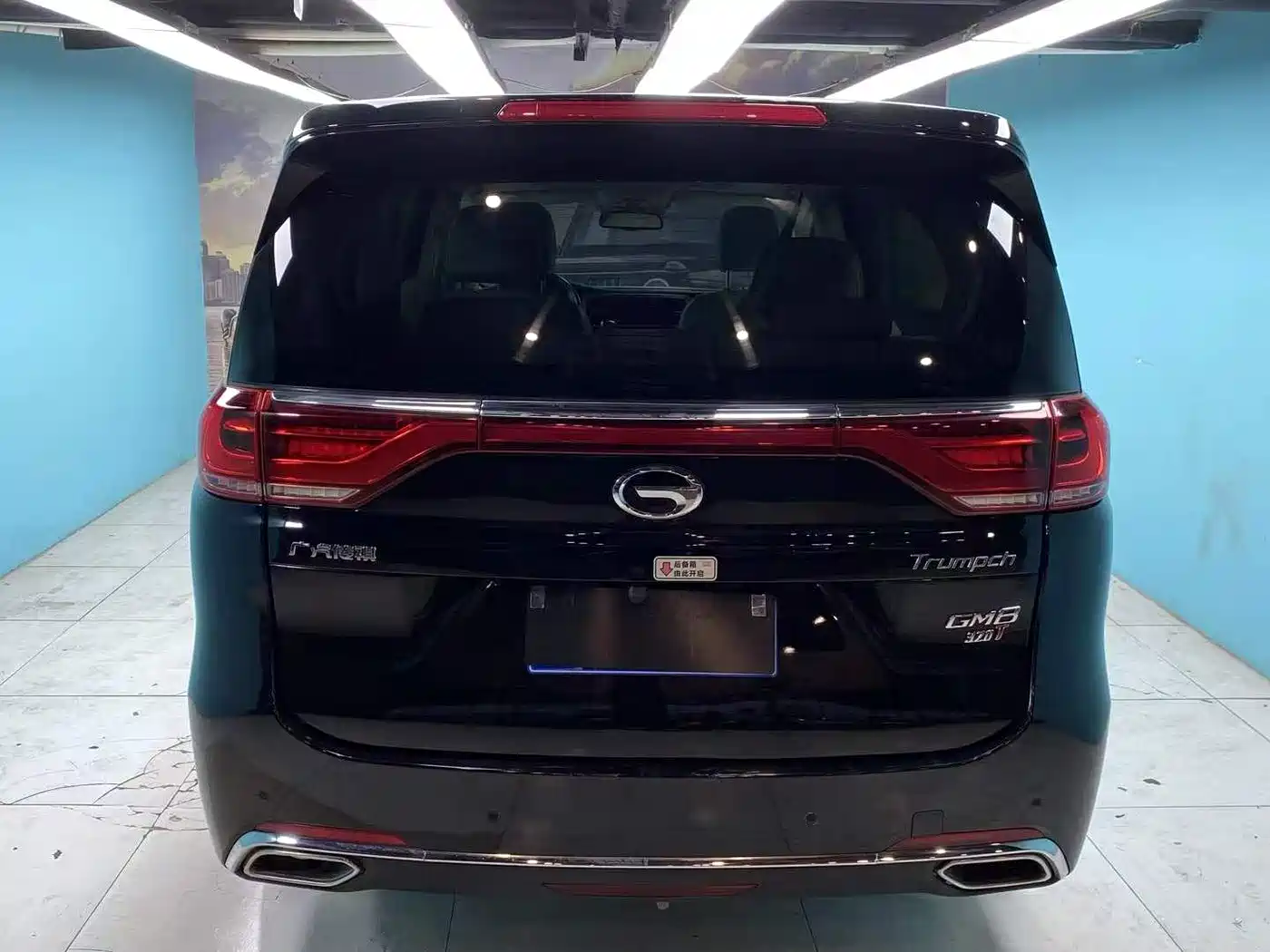GAC Trumpchi Trumpchi M8 2018 320T Premium Edition фото 8