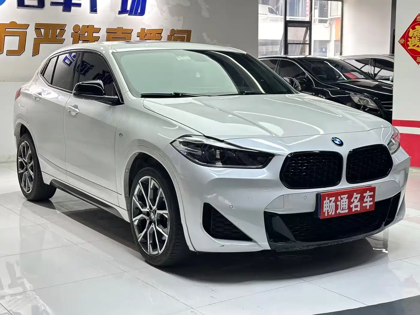 BMW X2