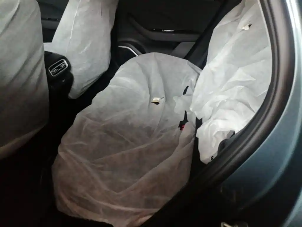 Geely Galaxy Galaxy Stellar 6 2025 Model 125km Free Edition фото 17