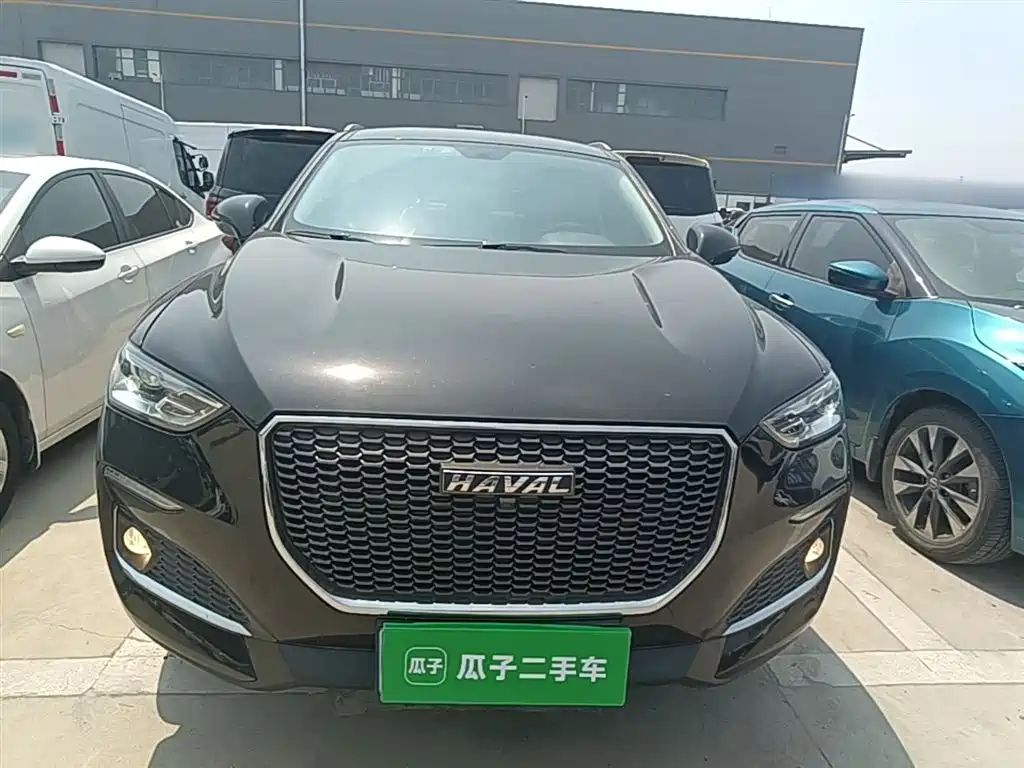 Haval F5 2019 National Trend Edition 1.5T iCool China VI фото 3