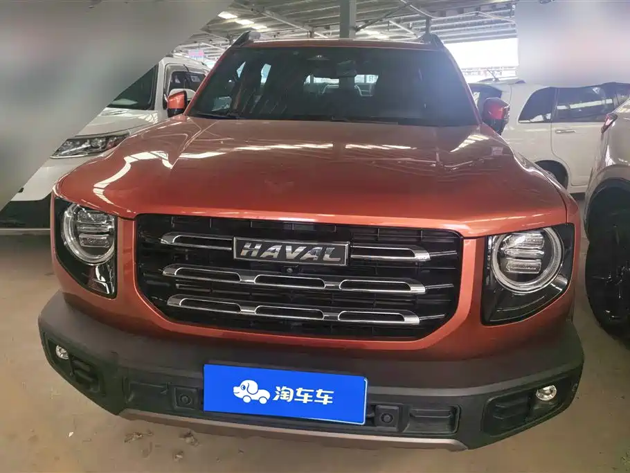 HAVAL BIG DOG