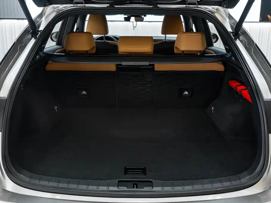 Lexus RX 2025 2025 300 4WD Premium Edition