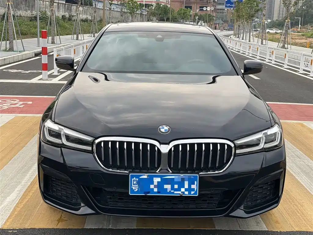 BMW 5 SERIES