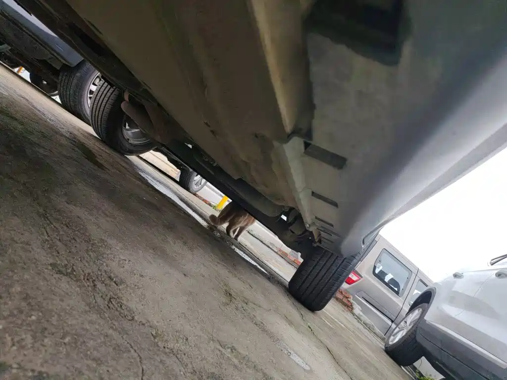 Ford EcoSport 2017 2017 1.5L Automatic Trend