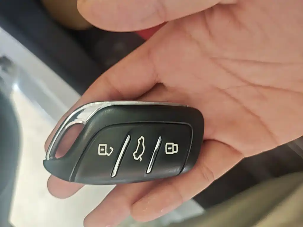Roewe Clever 2023 2022 311km Vitality Bobo Edition