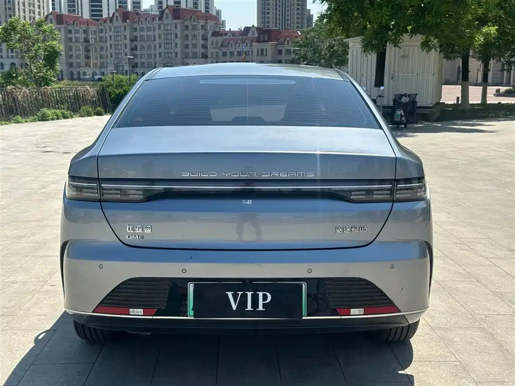 BYD Destroyer 05 2024 Glory Edition DM-i 55KM Luxury фото 4