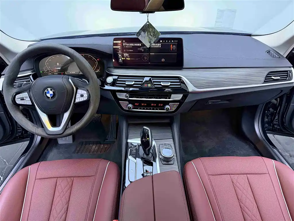 BMW 5 Series 2021 530Li Leading Luxury Package фото 12