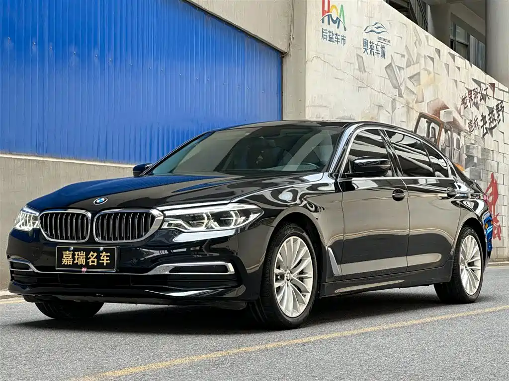 BMW 5 Series 2020 530Li xDrive Luxury Package