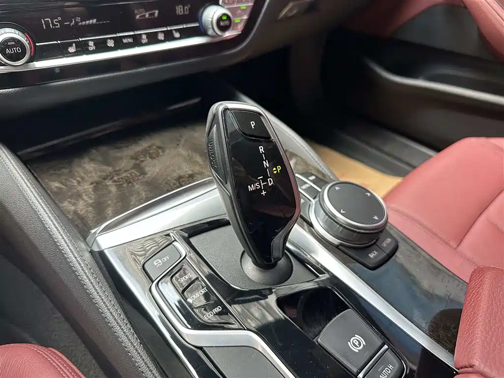 BMW 5 Series 2019 530Li Leading M Sport Package фото 14