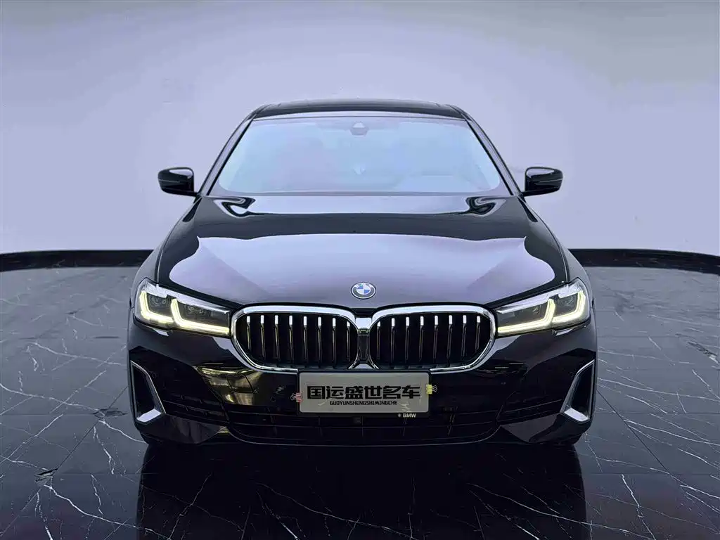 BMW 5 Series 2021 530Li Leading Luxury Package фото 2