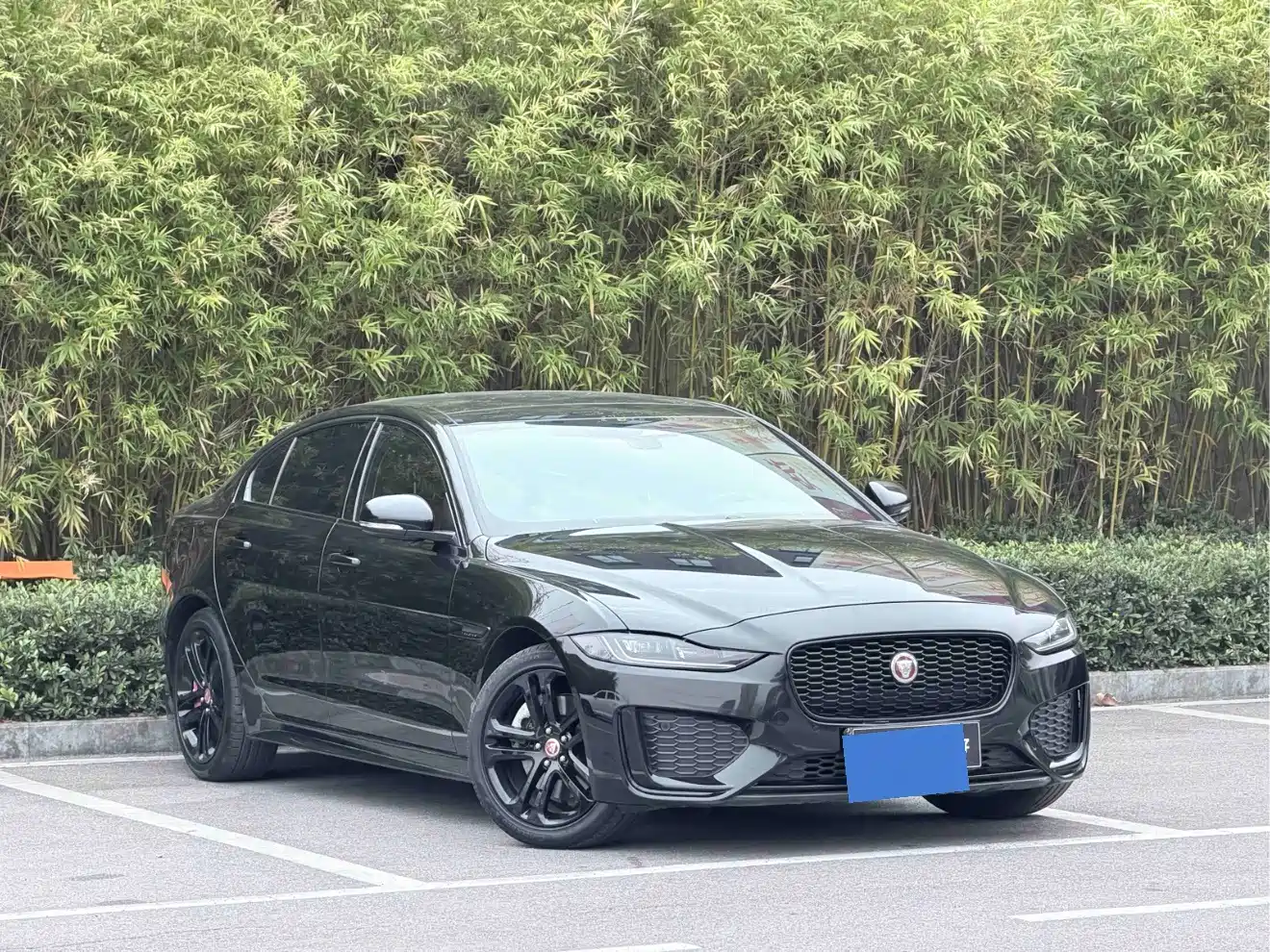 Jaguar XEL 2024 2024 Model 2.0T 250PS R-DYNAMIC S Progressive Sport Edition